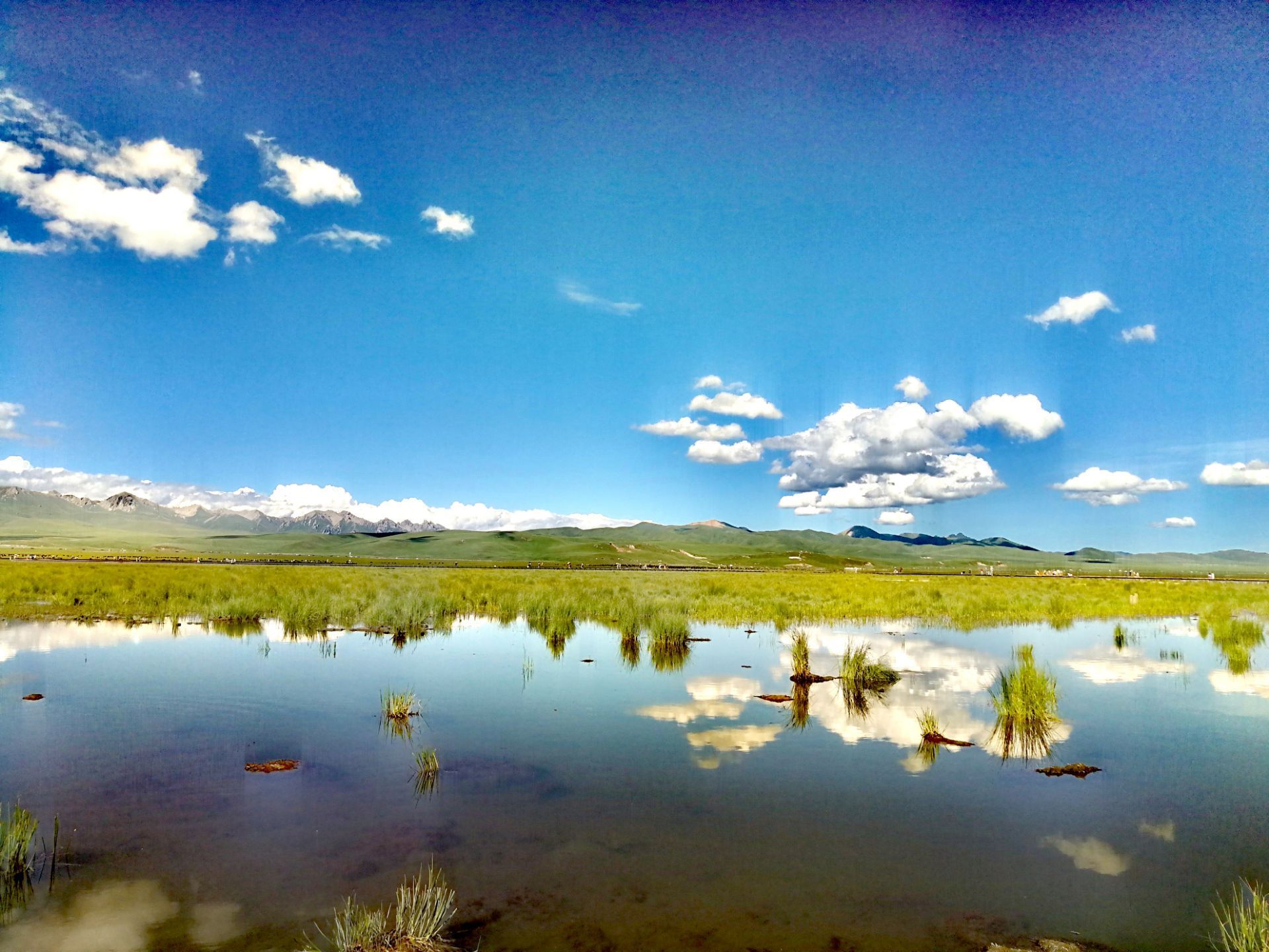 草原中的湖泊,很有特点.有草有水有鸟有鱼,还