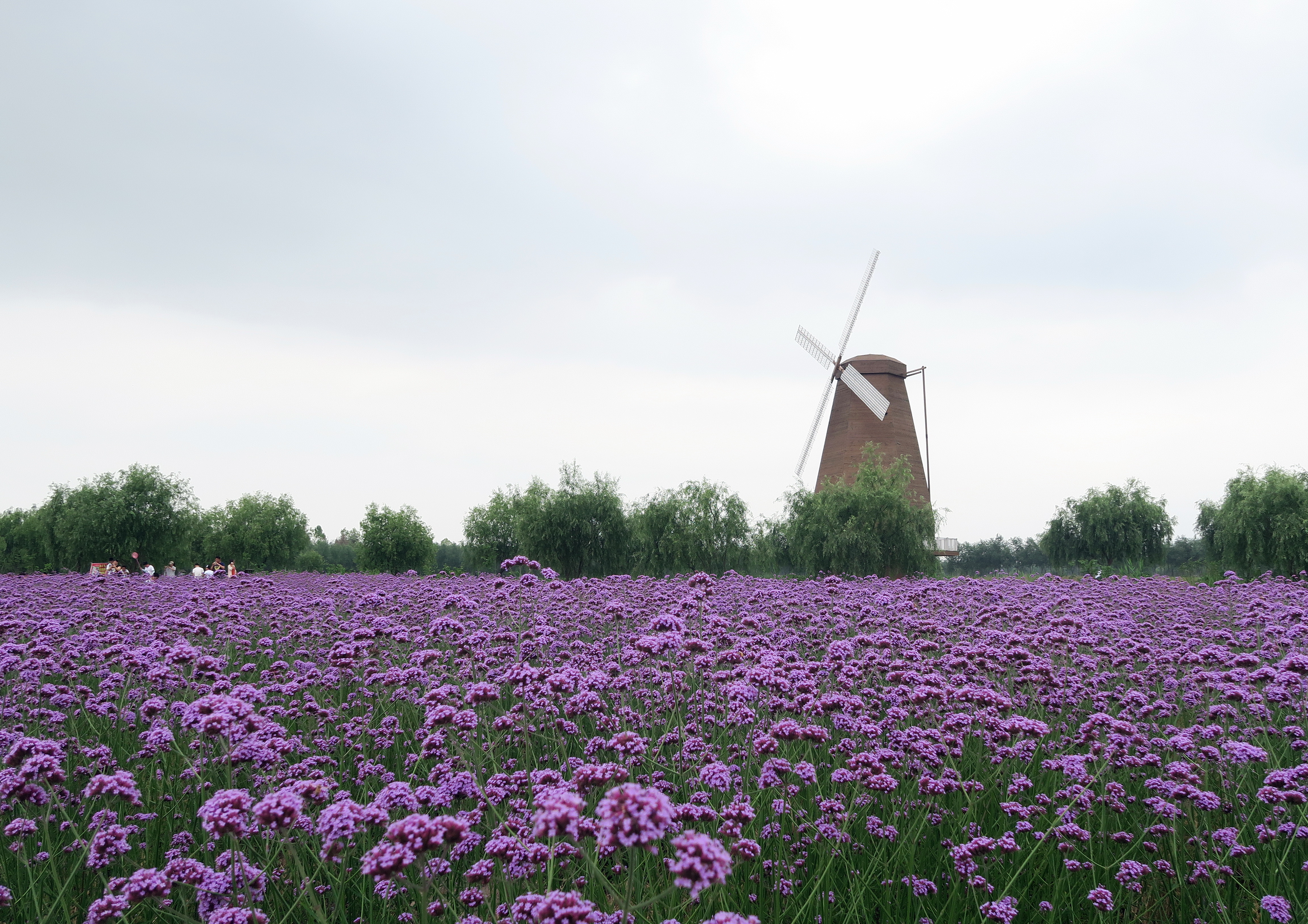 2020玉环漩门湾湿地公园-旅游攻略-门票-地址-问答-游记点评,玉环旅游