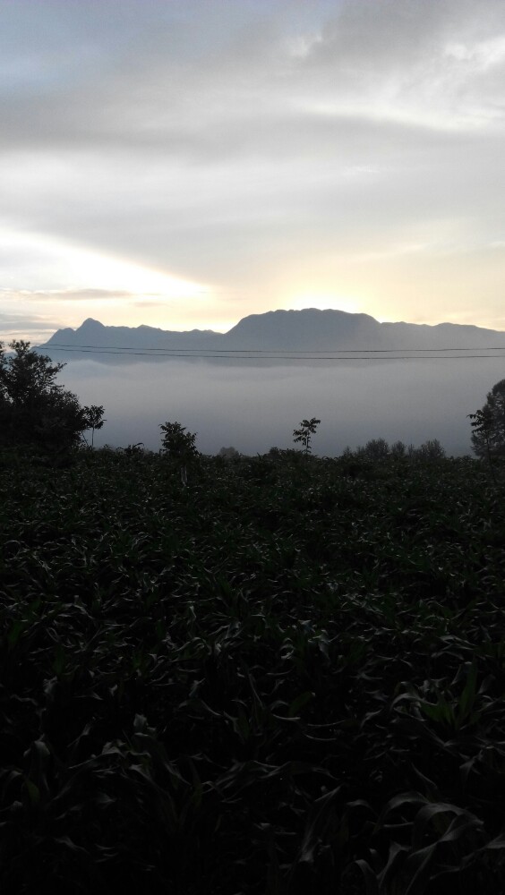 赫章国家森林公园