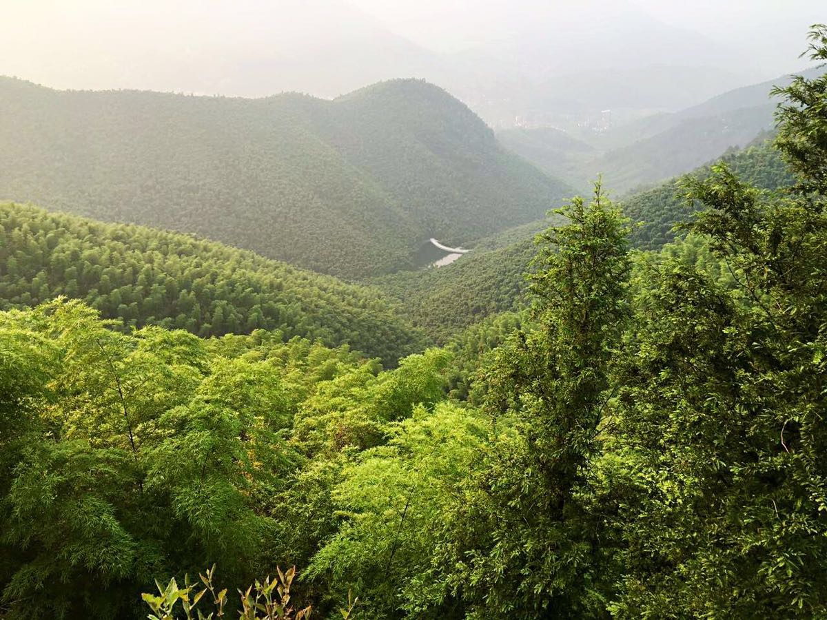 莫干山風景名勝區