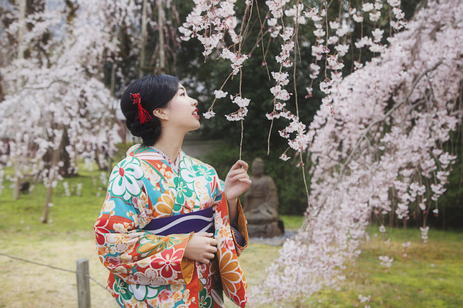来的樱花梦--关西樱花祭(250张美图,京都大阪全
