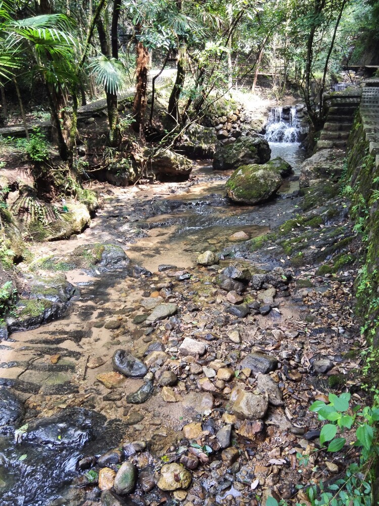 琴溪香谷景区