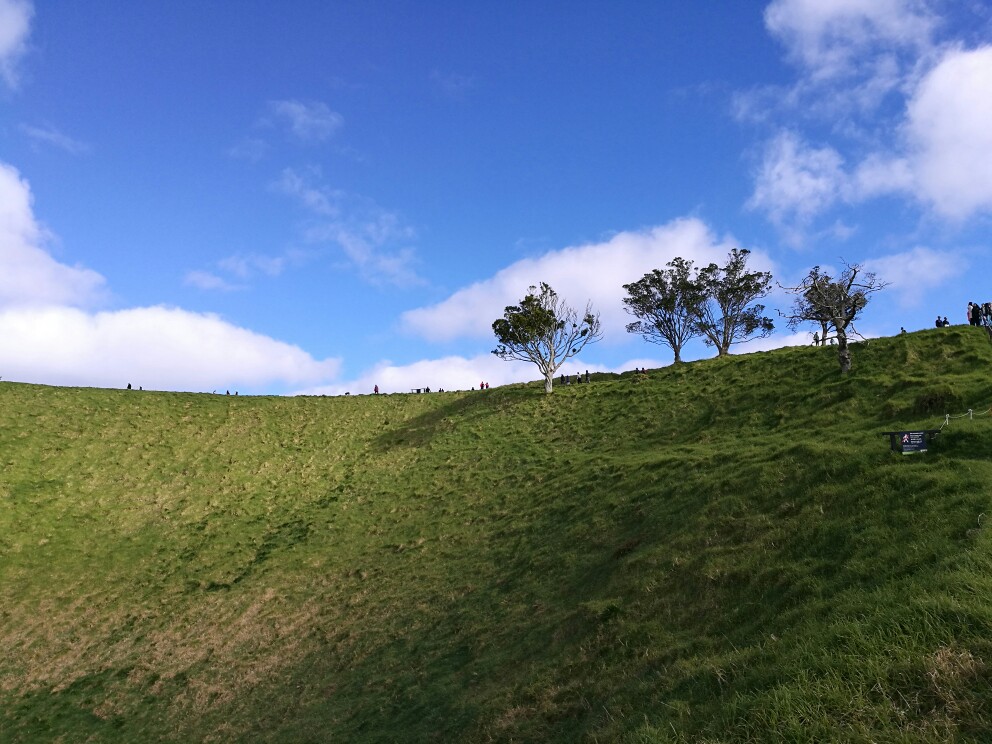 奧克蘭市中心的一座火山,火山口像個碗,大自然真奇妙,可以俯瞰整個