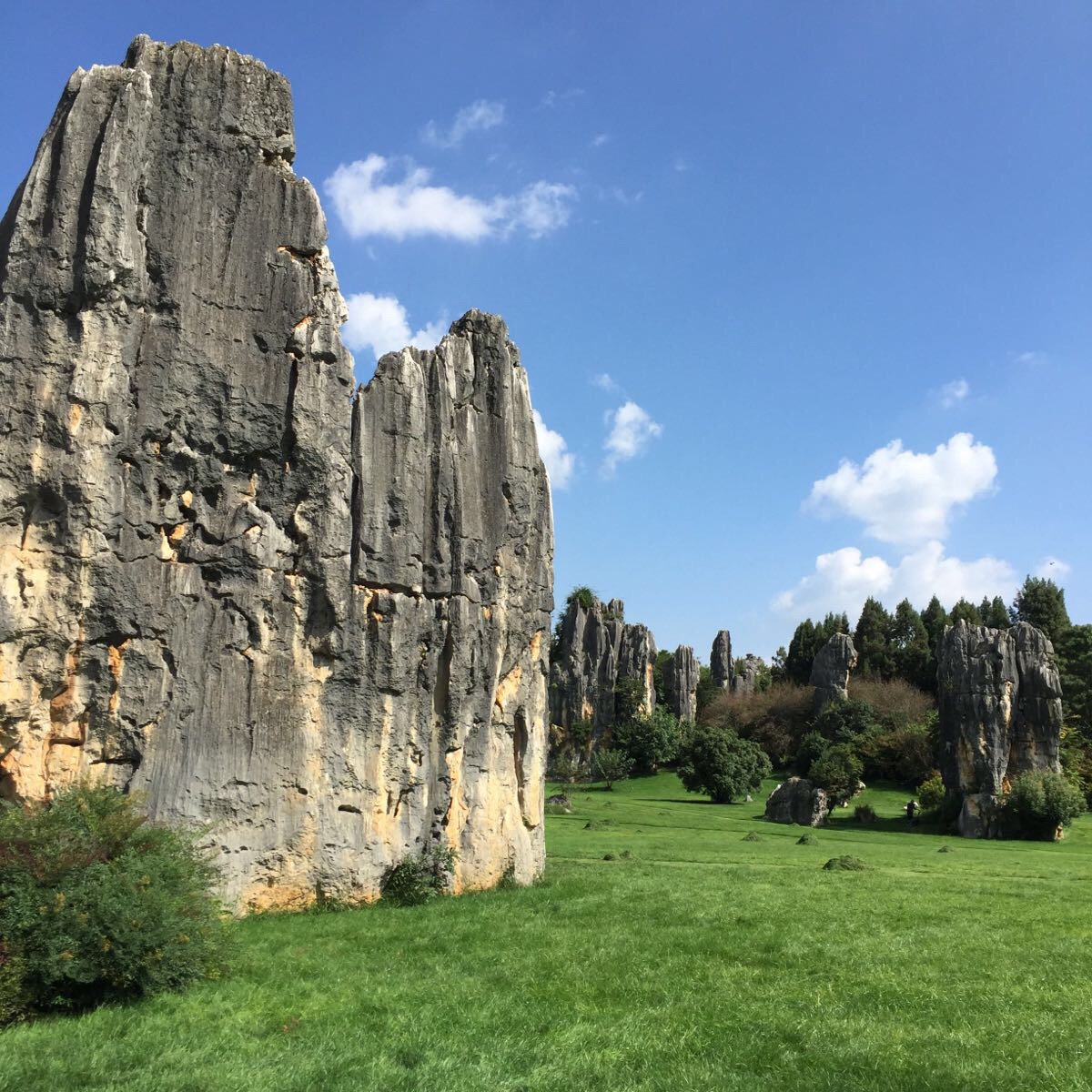 石林旅遊景點推薦 - 去哪兒攻略社區