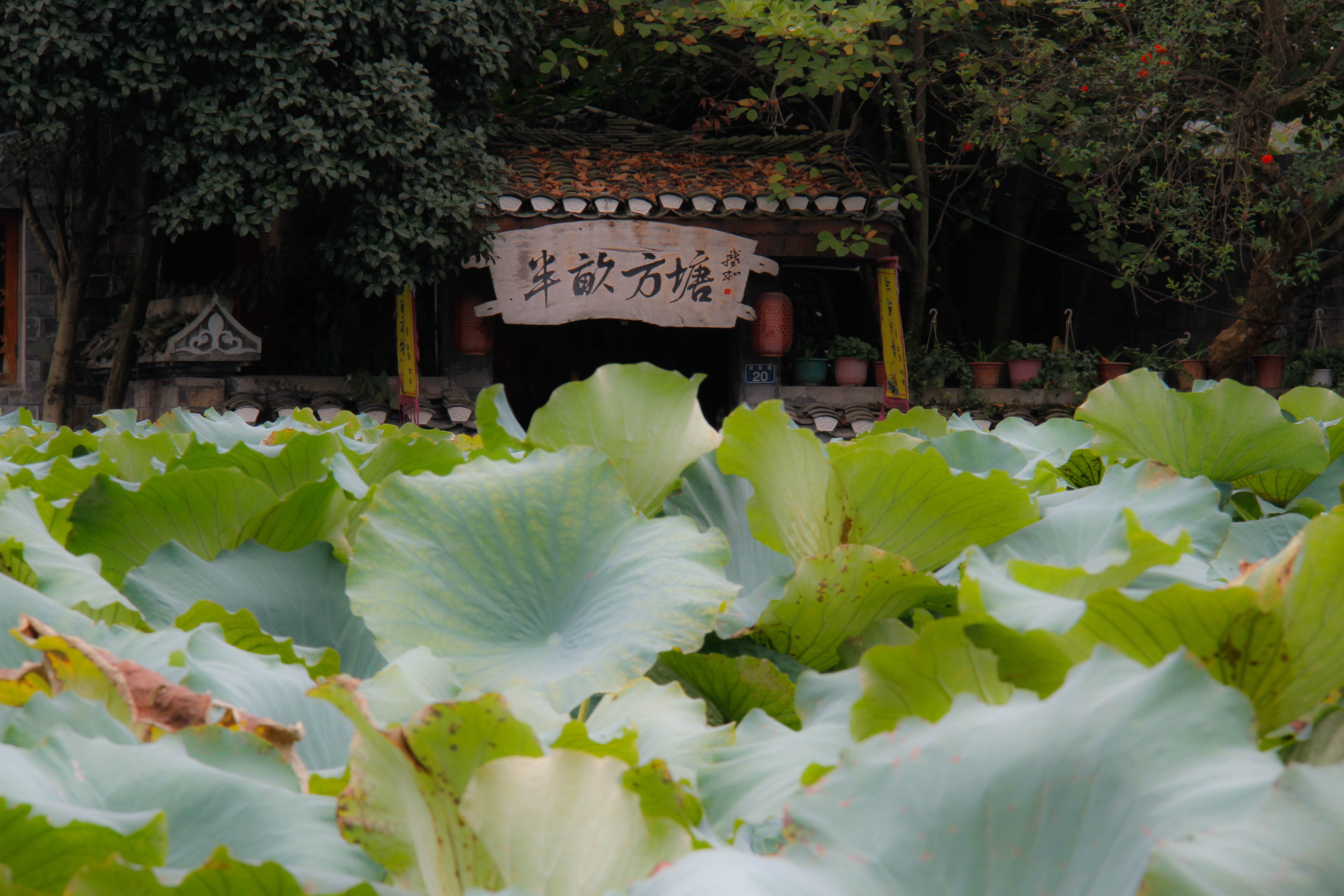 吉首乾州古城好玩吗,吉首乾州古城景点怎么样_点评_评价【携程攻略】