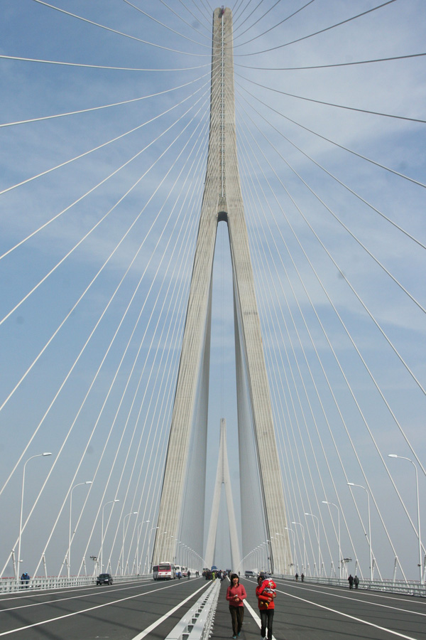 苏通大桥桥墩图片