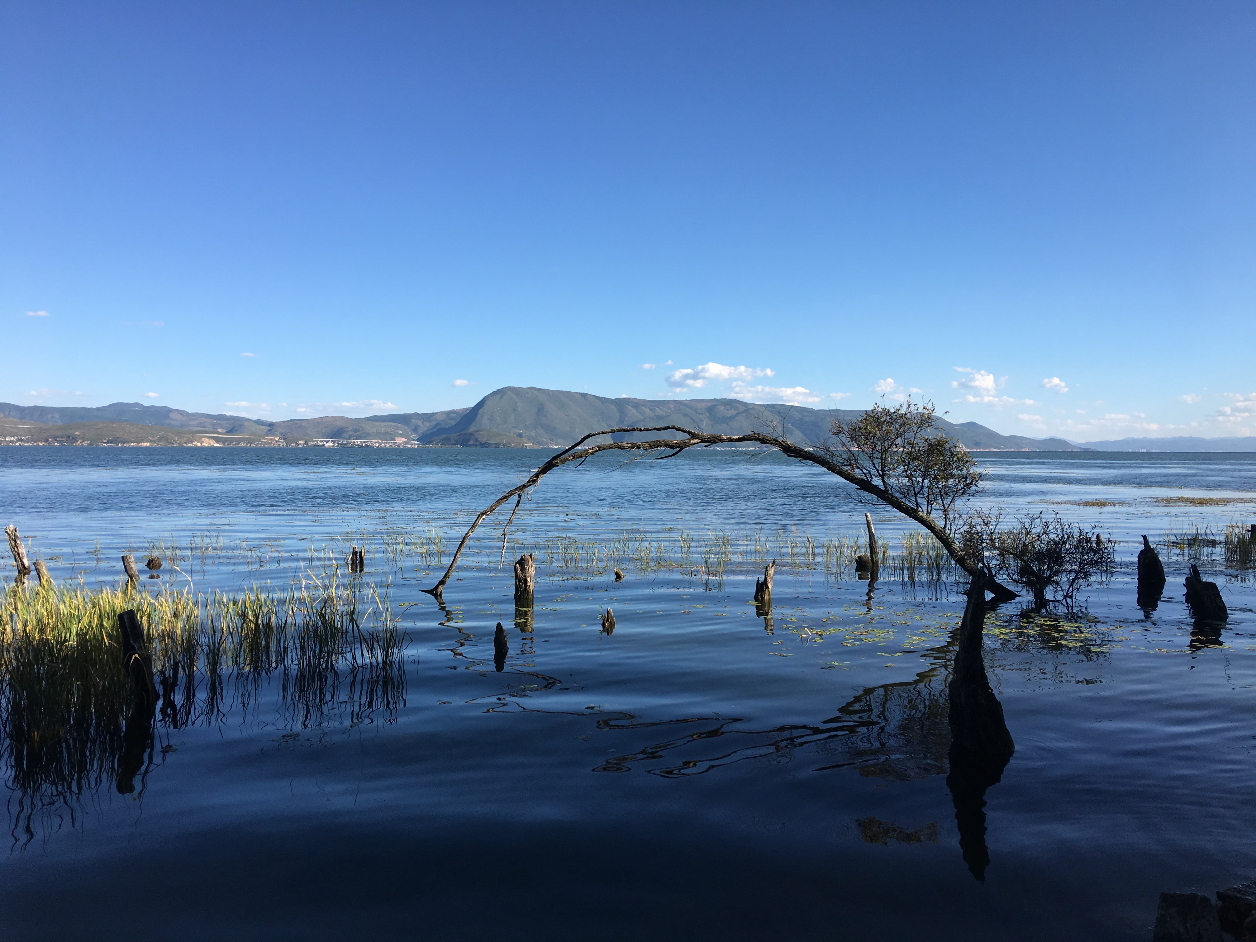 海舌生态公园