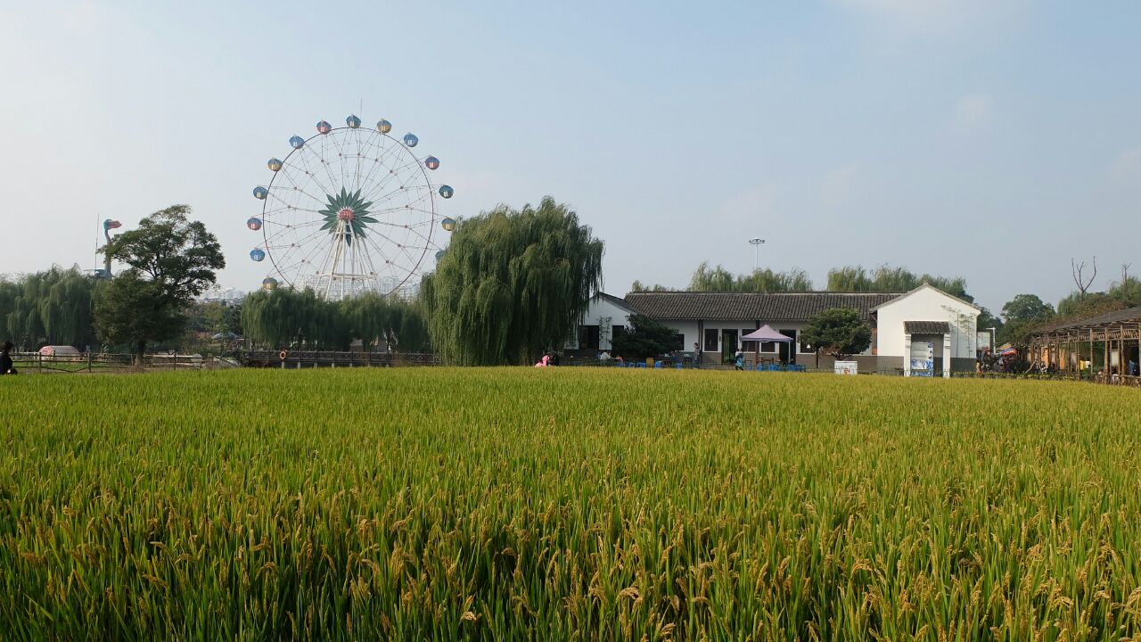 张家港江南农耕文化园好玩吗,张家港江南农耕文化园景点怎么样_点评