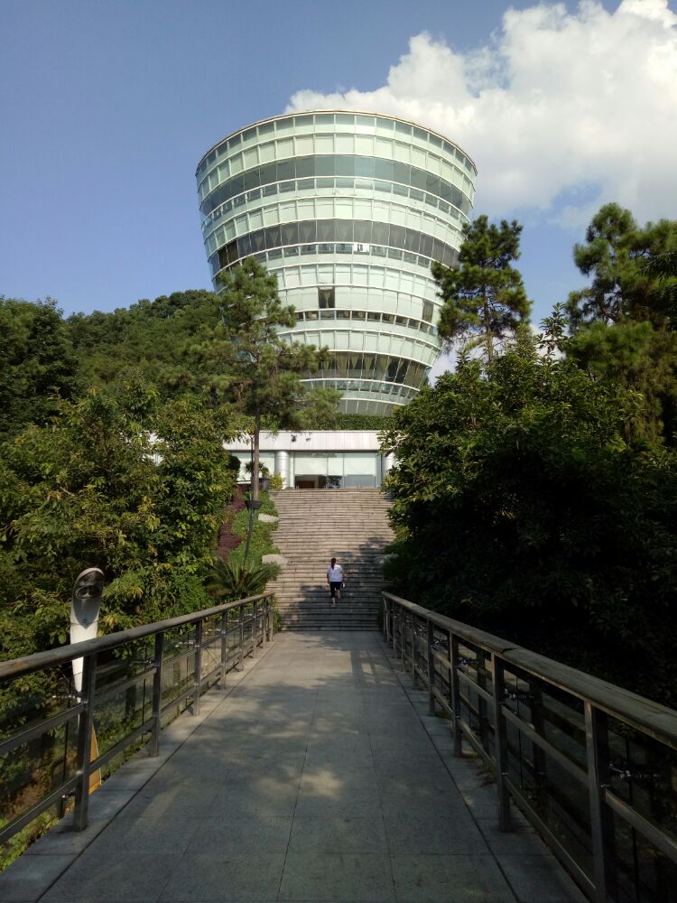 2020南山一棵树观景台-旅游攻略-门票-地址-问答-游记点评,重庆旅游