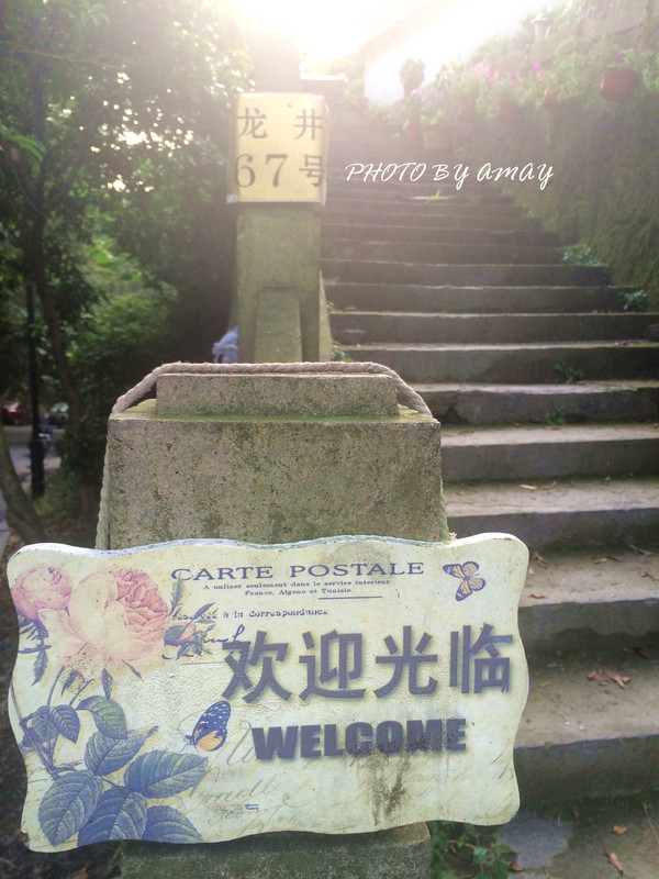 春去夏至,邂逅美丽西子(杭州最文艺小资的出行