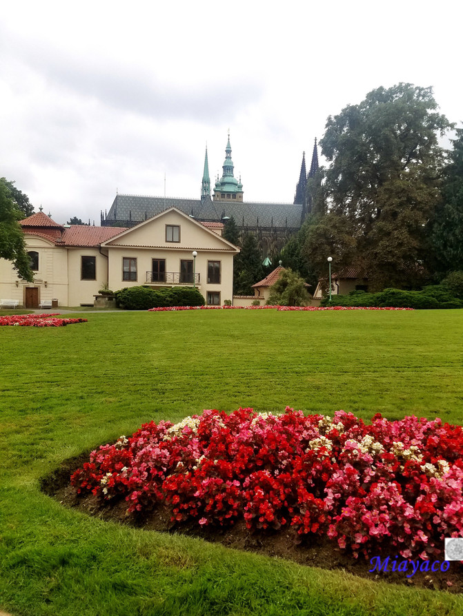 皇家花园royal garden