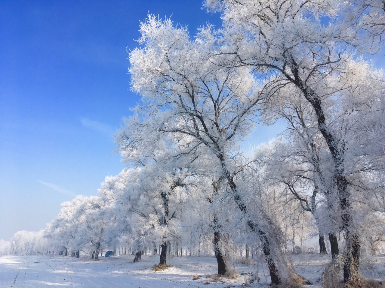 吉林市内去雾凇岛的最佳路线「吉林市内去雾凇岛的最佳路线图」