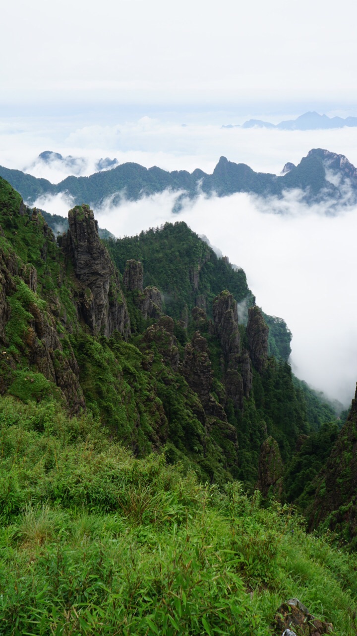 2019神農頂風景區_旅遊攻略_門票_地址_遊記點評,神農架旅遊景點推薦