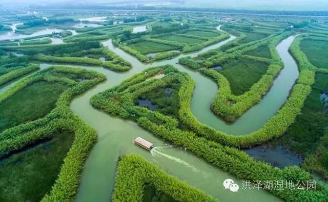 【攜程攻略】泗洪泗洪洪澤湖溼地景點,洪澤湖溼地公園,國家aaaa級旅遊