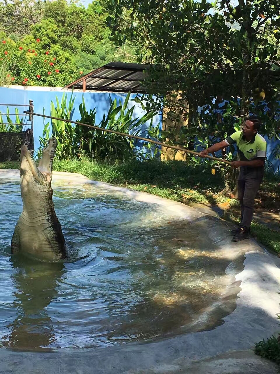 蘭卡威野生動物園