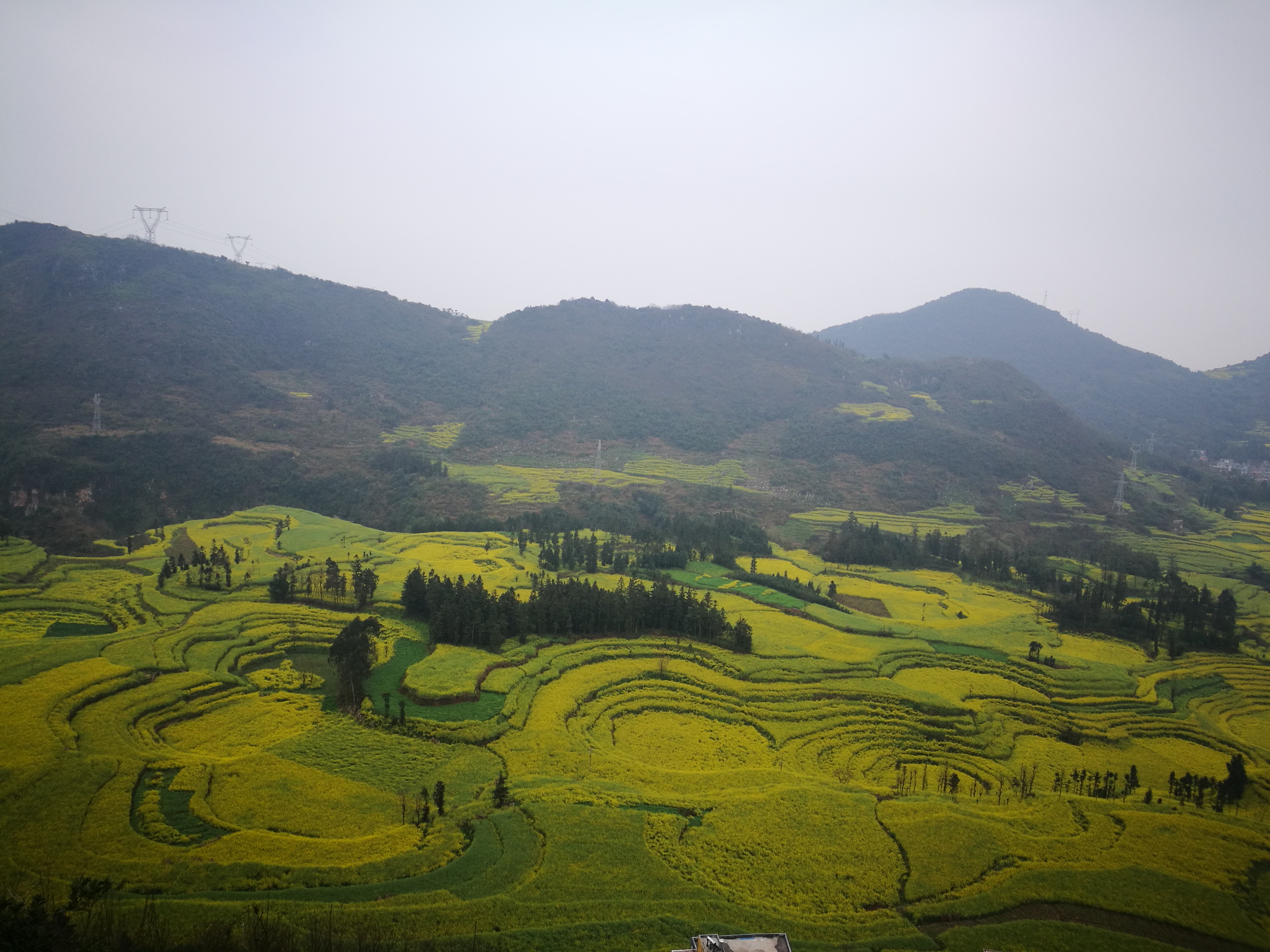 2019螺丝田_旅游攻略_门票_地址_游记点评,罗平旅游景点推荐 - 去哪儿