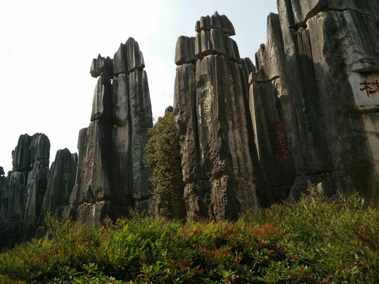 桂林石林风景区图片