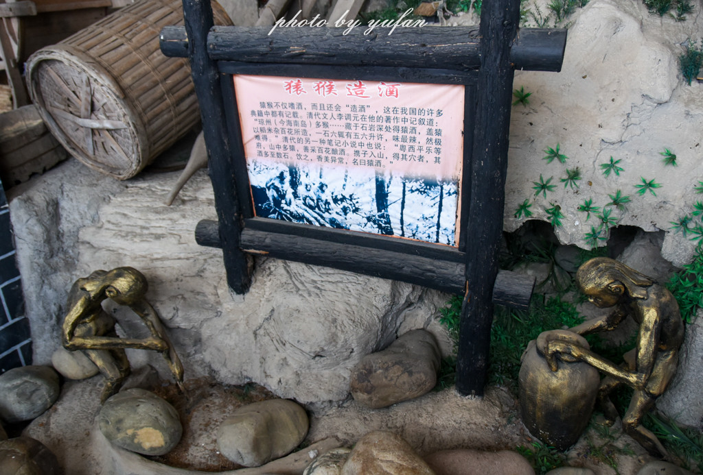 中国制酒历史竟然可以追溯到尚未进化成人的猿猴时代,杜康不是造酒的
