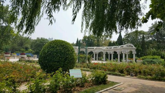 天津睦南公園攻略,天津睦南公園門票/遊玩攻略/地址/圖片/門票價格