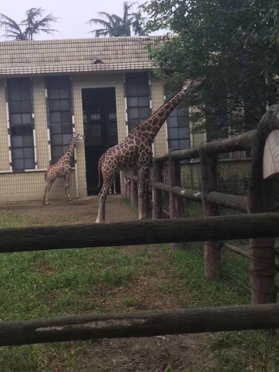 成都動物園旅遊景點攻略圖