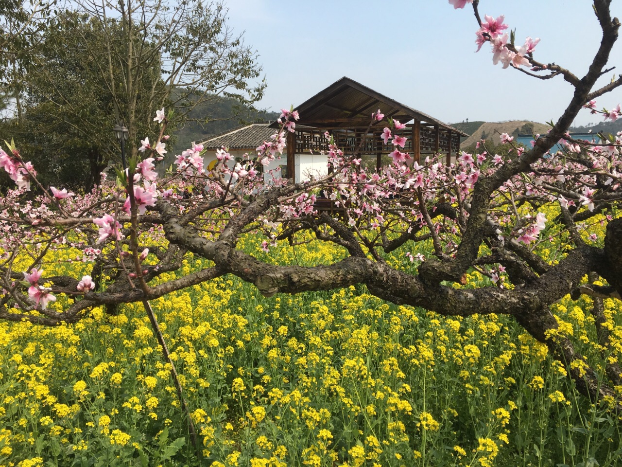 长兴城山沟景区