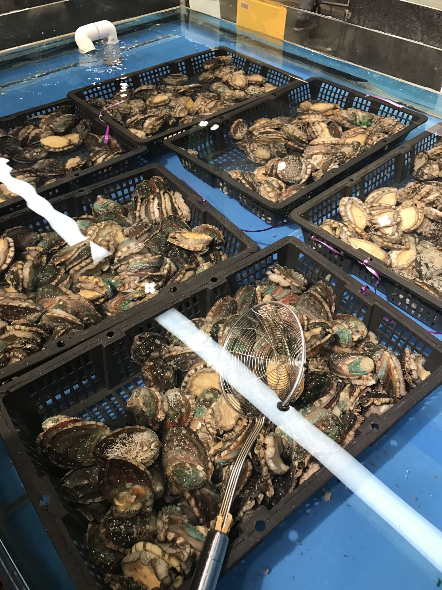上海宝燕海货工场·蒸汽海鲜加工(大宁店)好吃吗,宝燕海货工场·蒸汽