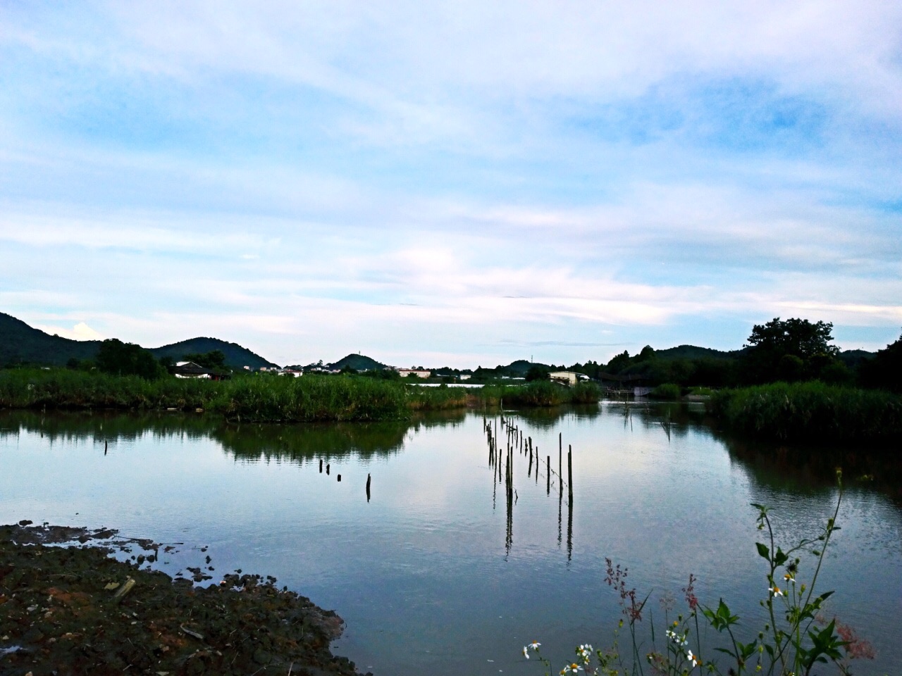 2019淇澳島_旅遊攻略_門票_地址_遊記點評,珠海旅遊景點推薦 - 去哪兒