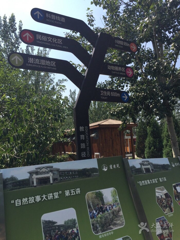 从公园大门到麋鹿苑大门有观光车,记得是往返10元每人,从麋鹿苑到小