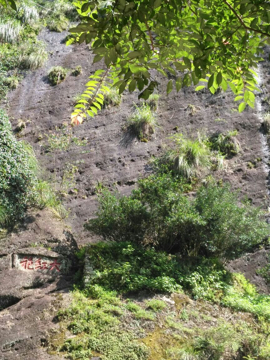 大红袍景区