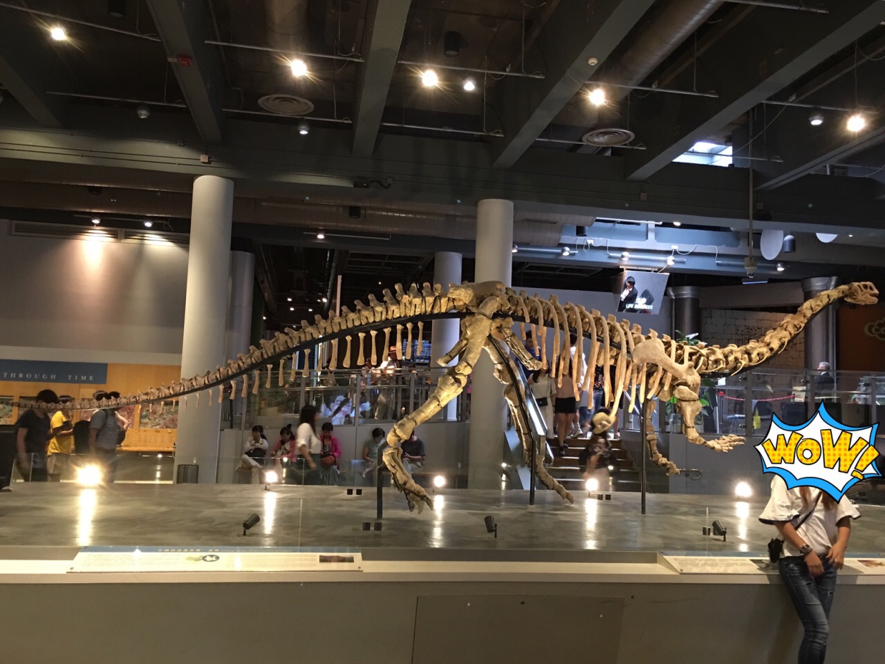 2019香港科学馆_旅游攻略_门票_地址_游记点评,香港旅游景点推荐 - 去