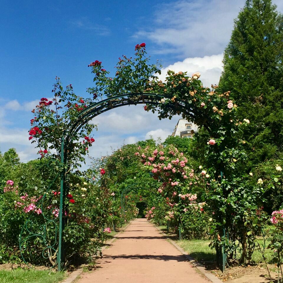 历史现在植物园是巴黎植物馆的一部分奇花异草很多另外还可以看见珍稀