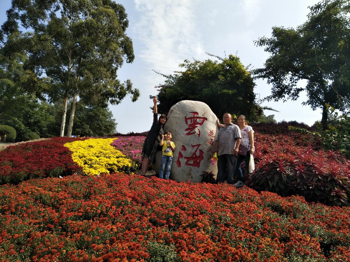 2019花舞人間_旅遊攻略_門票_地址_遊記點評,新津旅遊景點推薦 - 去