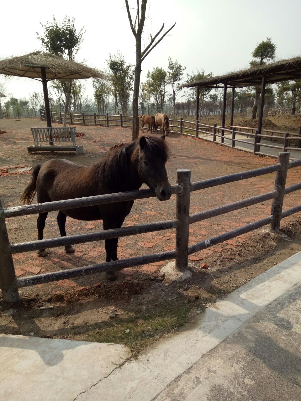 宿州野生動物園