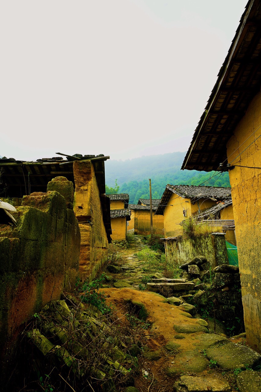 2020鼓鸣寨-旅游攻略-门票-地址-问答-游记点评,上林旅游旅游景点推荐