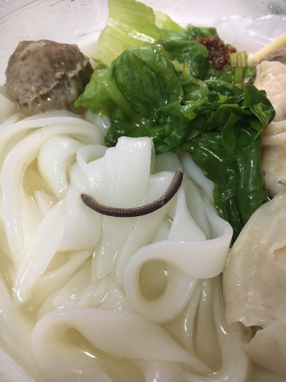 说了细米粉 结果给了河粉 结果吃着吃着 吃出了这个