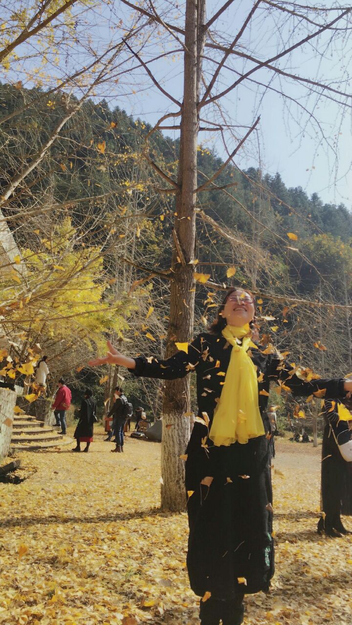 南雄帽子峰林场好玩吗,南雄帽子峰林场景点怎么样_点评_评价【携程