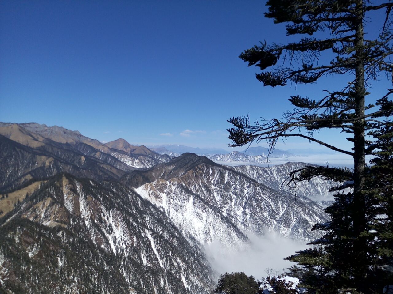 西岭雪山日月坪照片图片