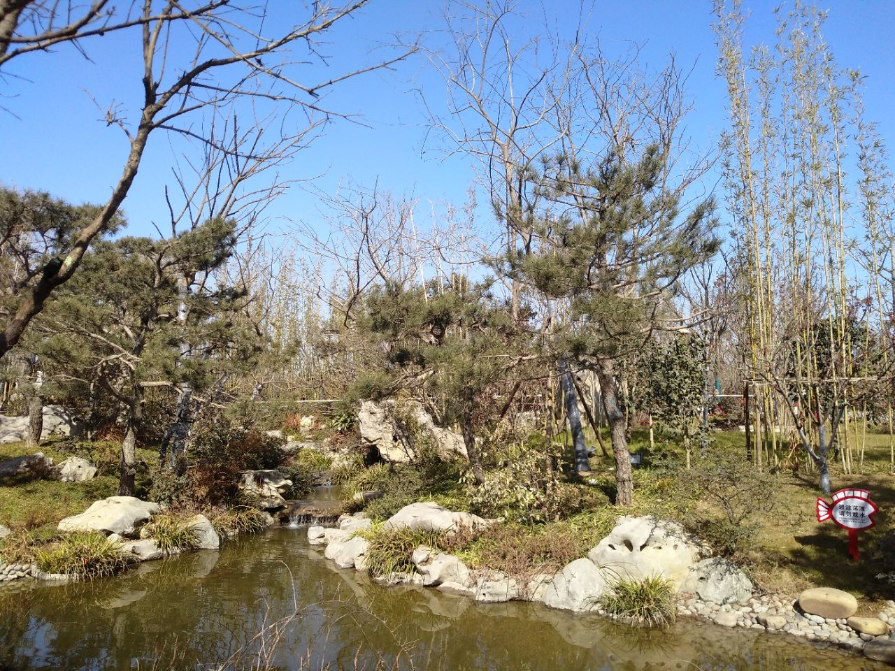 新鄭鄭州園博園好玩嗎,新鄭鄭州園博園景點怎麼樣_點評_評價【攜程