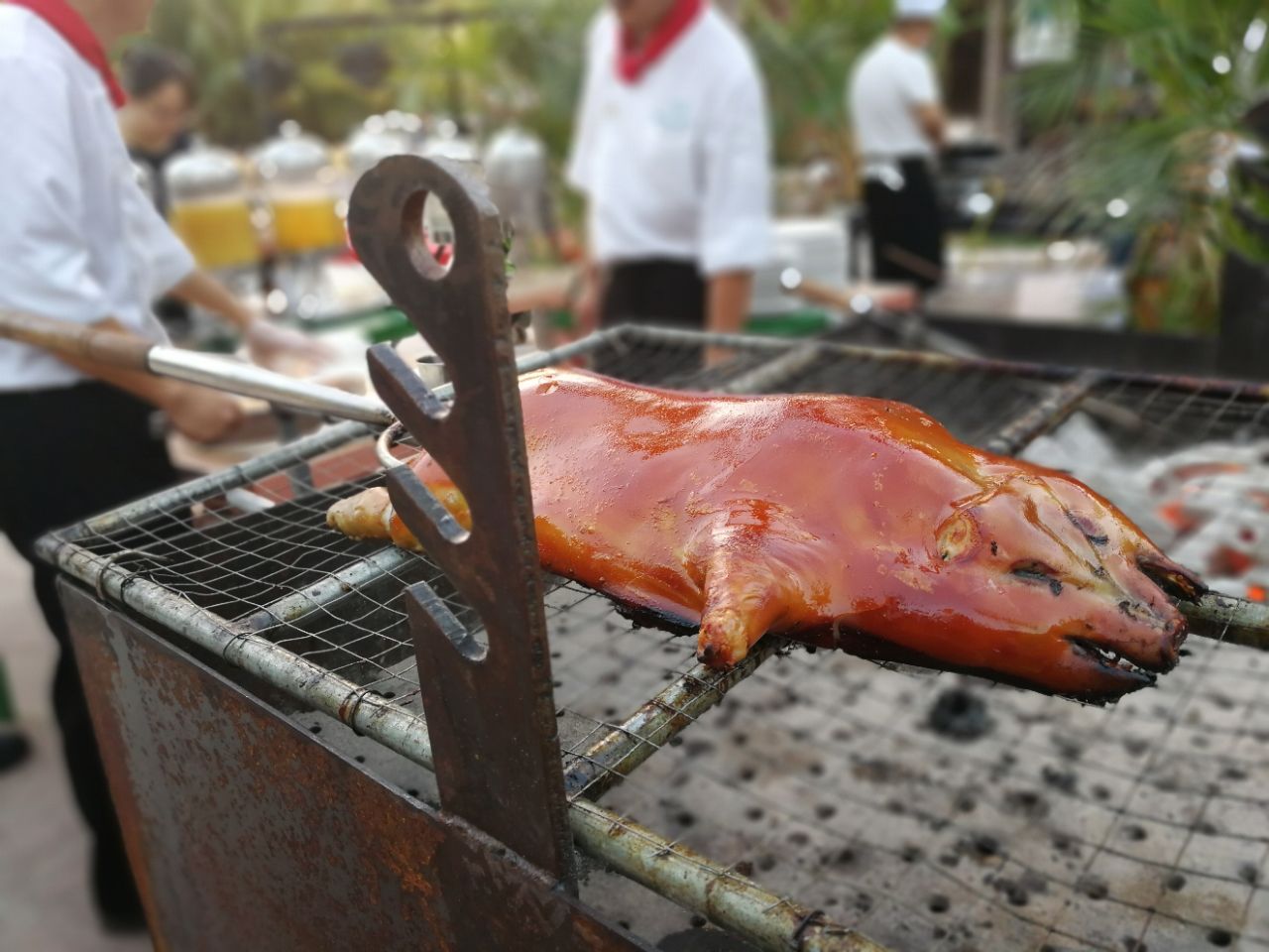 2021火山餐厅 三亚湾红树林度假世界店美食餐厅 海南的虾是真新鲜 肉很紧实 去哪儿攻略