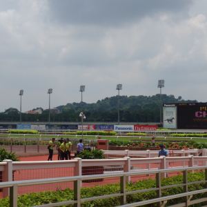2021新加坡赛马会 旅游攻略 门票 地址 问答 游记点评 新加坡旅游旅游景点推荐 去哪儿攻略