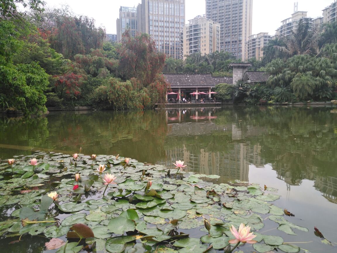 珠江公园珠江公园Zhujiang Park