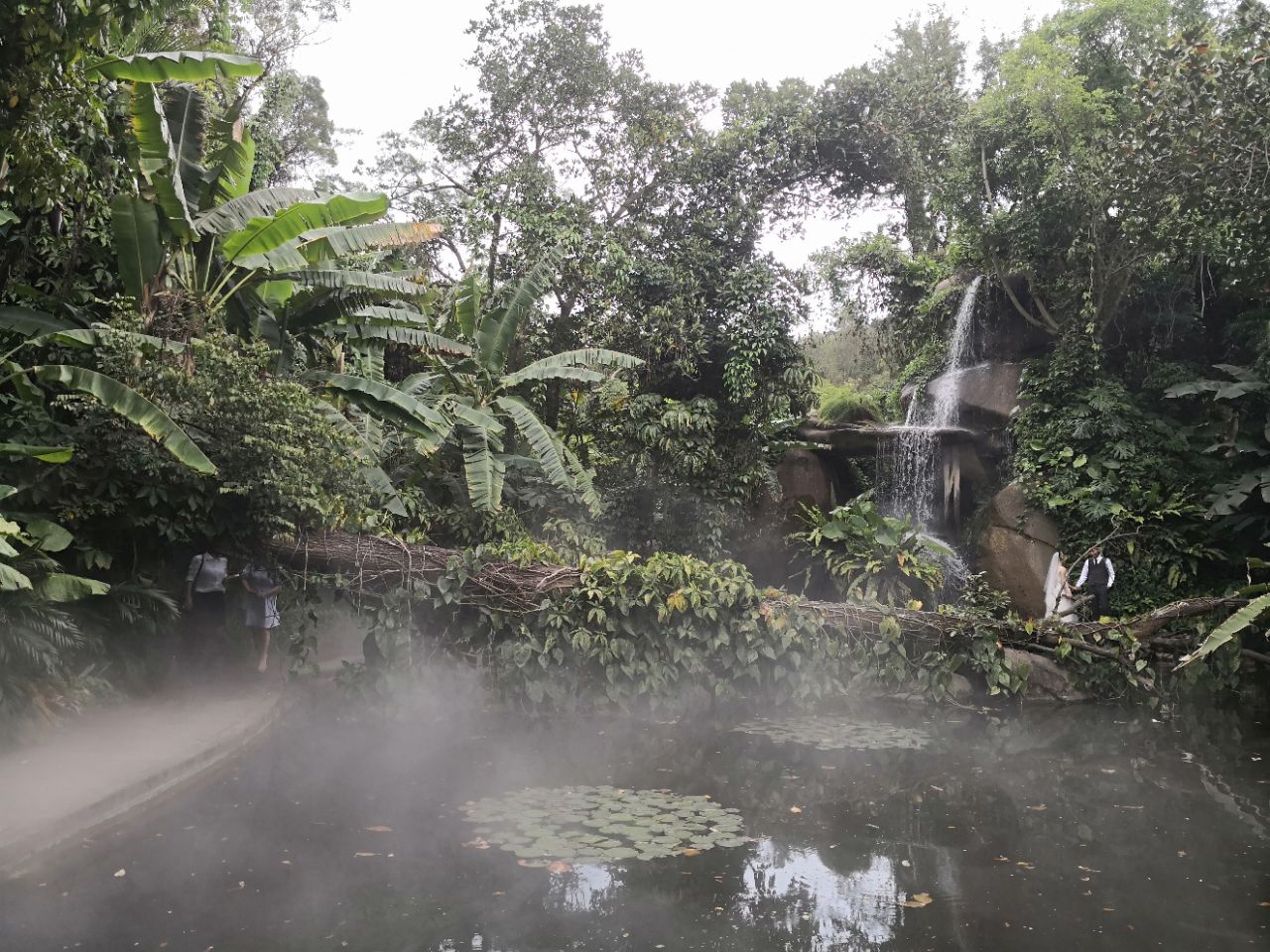 廈門園林植物園旅遊景點攻略圖