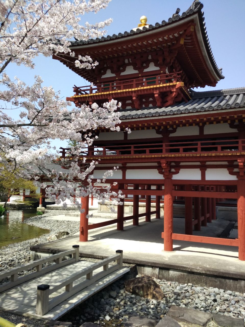 2019平等院_旅遊攻略_門票_地址_遊記點評,宇治市旅遊景點推薦 - 去