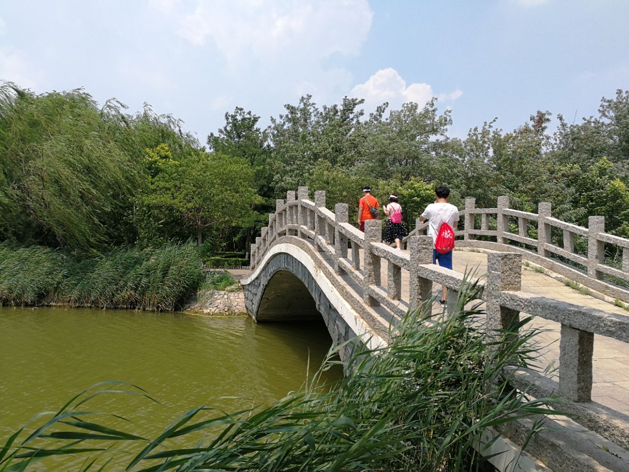 天津塘沽森林公园