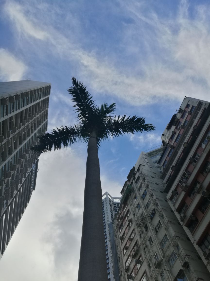 铜锣湾天后庙