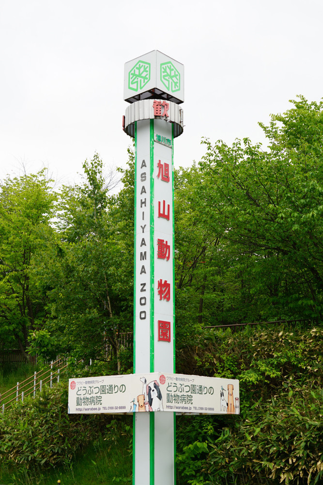 雪泡儿印记 夏の北海道 童话的世界 北海道游记攻略 携程攻略