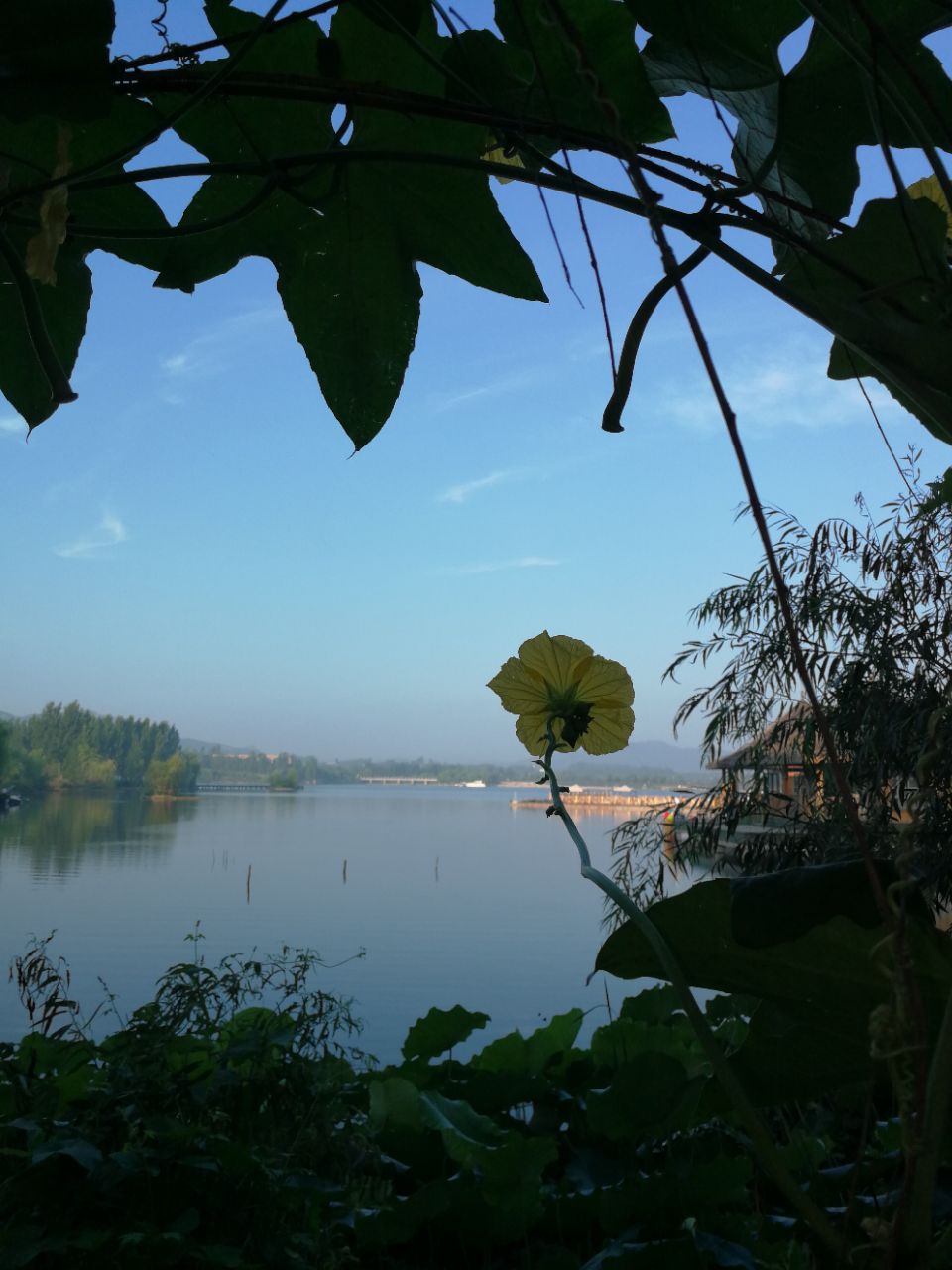 萬紫千紅生態養生旅遊度假區-旅遊攻略-門票-地址-問答-遊記點評,泗水