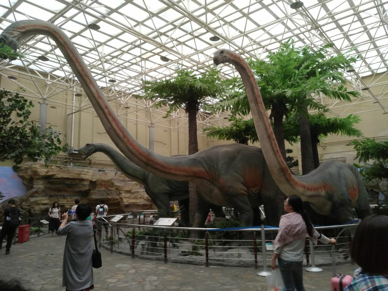 夏夜约一场恐龙趴 北京自然博物馆“奇妙夜”来了！|博物馆_新浪新闻