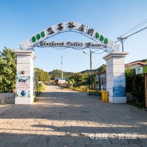 2023蓝莓谷庄园-旅游攻略-门票-地址-问答-游记点评,大连旅游旅游景点