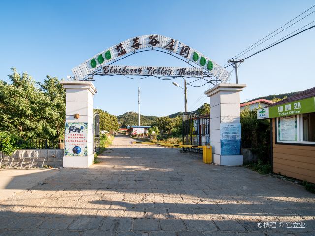 蓝莓谷庄园